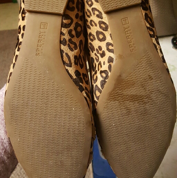 Sperry flats - Picture 2 of 2