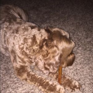 Meet your Posher, Jenny