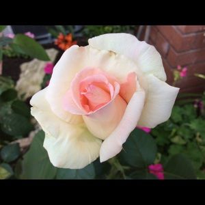 Meet your Posher, Hyong