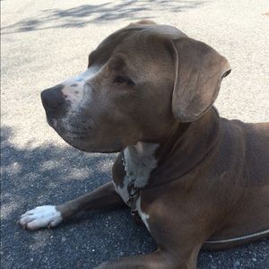 Meet your Posher, Brianne