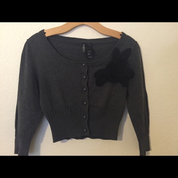 Gray Cropped Sweater