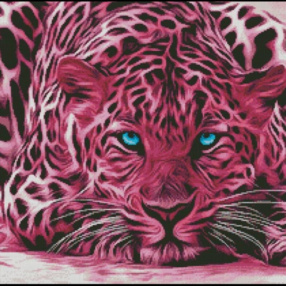 Meet your Posher, Asiah