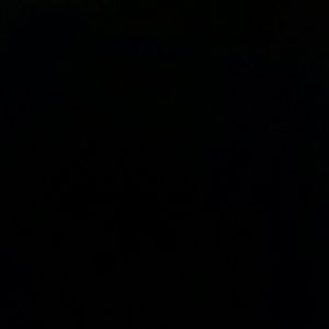 Meet your Posher, Yesenia