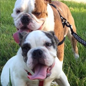 Meet your Posher, Corina