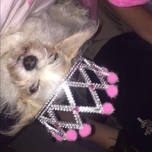 Meet your Posher, Elena