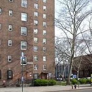 Meet your Posher, Janine