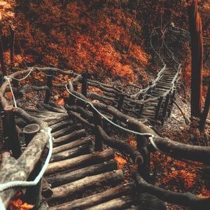 Meet your Posher, Saul