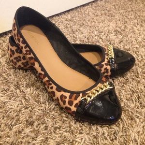 Cheetah Flats