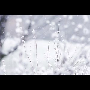 Meet your Posher, Alondra