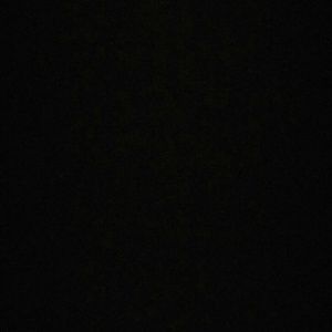 Meet your Posher, Tanner