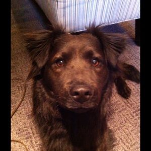 Meet your Posher, Leah