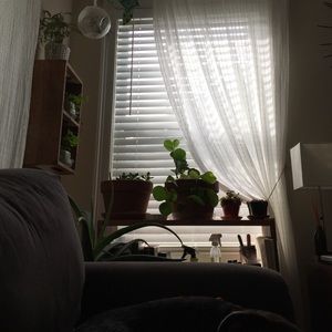 Meet your Posher, Allyson