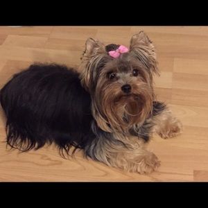 Meet your Posher, Desiree