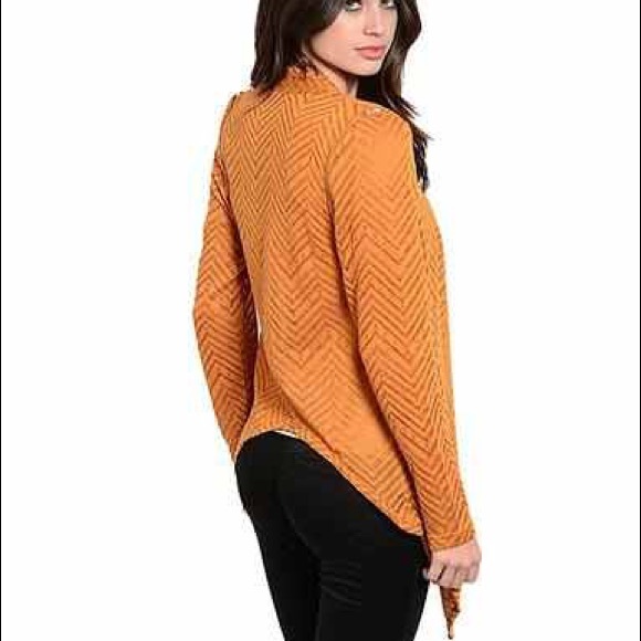 Rust colored Cardigan - Picture 2 of 3