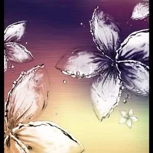 Meet your Posher, Leslie