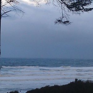 Meet your Posher, Laurie