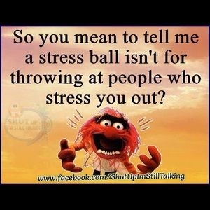 Meet your Posher, Connie