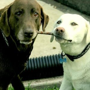 Meet your Posher, Madeline