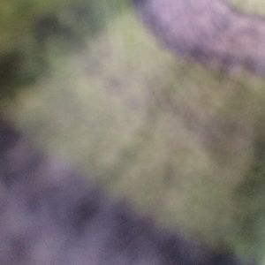 Meet your Posher, Rick