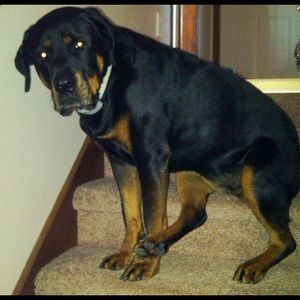 Meet your Posher, Olivia