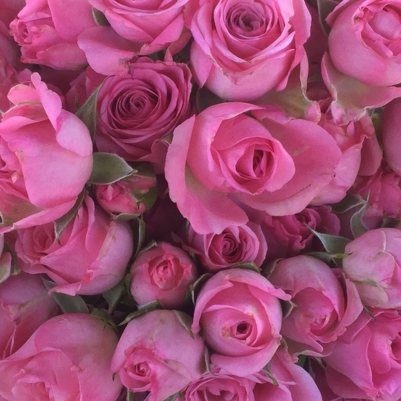 Meet your Posher, Caitlyn