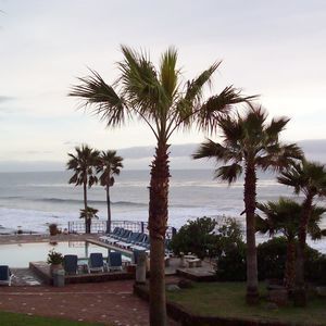 Meet your Posher, Ginger