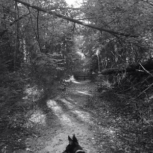 Meet your Posher, Suzanne