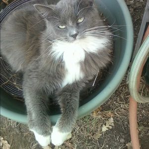 Meet your Posher, Tara