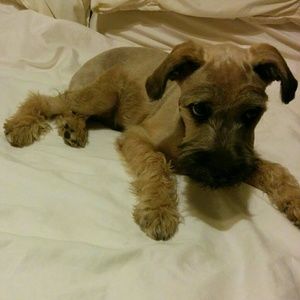 Meet your Posher, Alejandra