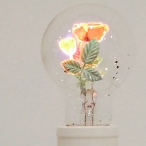 Meet your Posher, Jari