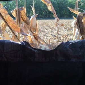 Meet your Posher, Dina