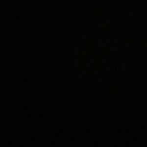 Meet your Posher, Bree