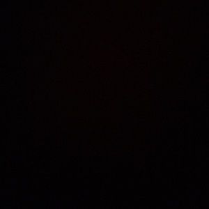 Meet your Posher, Lauryn