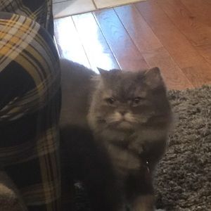 Meet your Posher, Mya