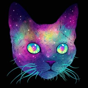 Meet your Posher, Chels