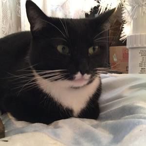 Meet your Posher, Natalie