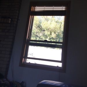 Meet your Posher, Tenielle