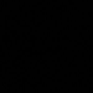 Meet your Posher, Adena