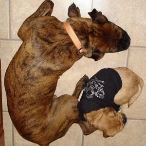 Meet your Posher, Gail