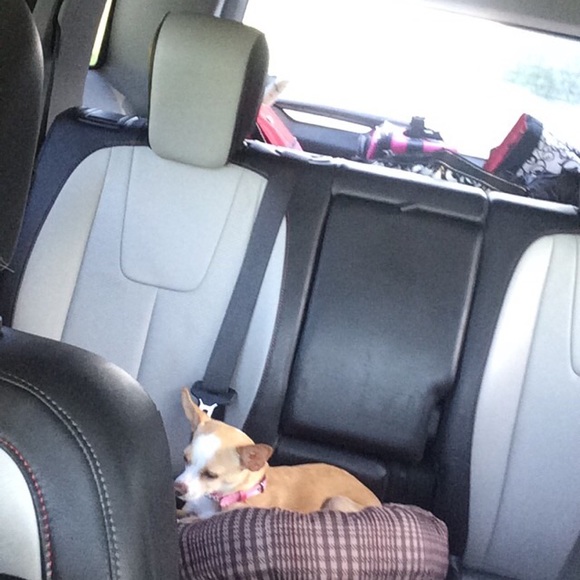 Meet your Posher, Ashley