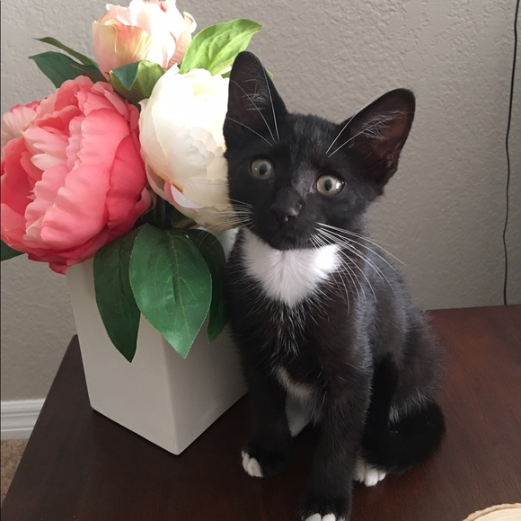 Meet Your Posher, Katie - Picture 5 of 7