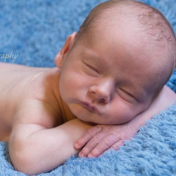 Meet your Posher, Lara - Picture 1 of 1