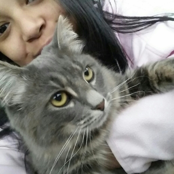 Meet your Posher, Paola - Picture 1 of 1