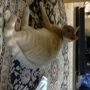 Meet your Posher, Stephen