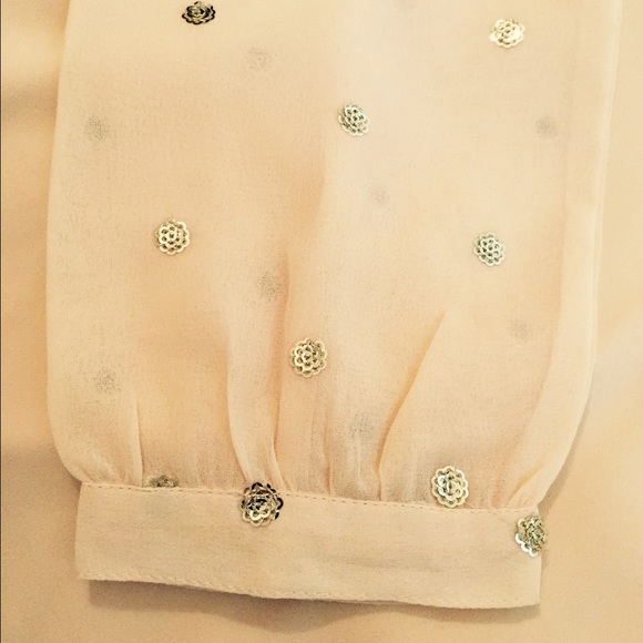 Delicate, Semi-sheer Blouse with Gold Accents - Picture 2 of 2