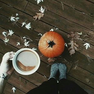 Fall is Here!