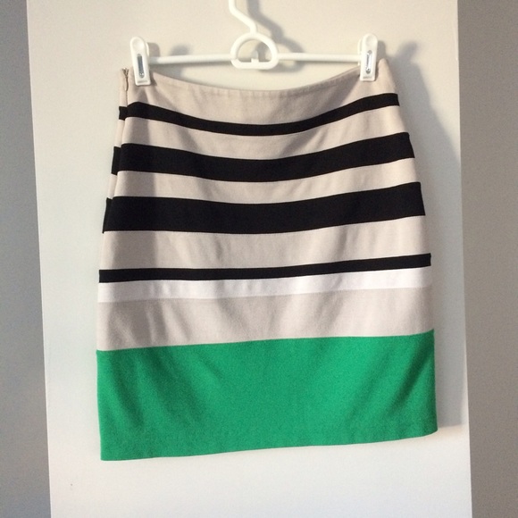 Express Skirt