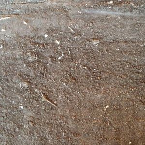 Meet your Posher, Audra