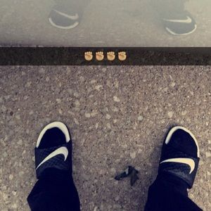 Meet your Posher, Taylor