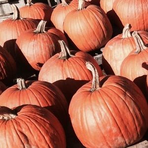 Meet your Posher, Gina